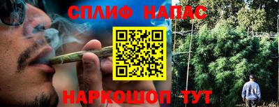 стаф Бузулук