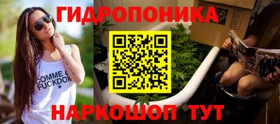 стаф Бузулук