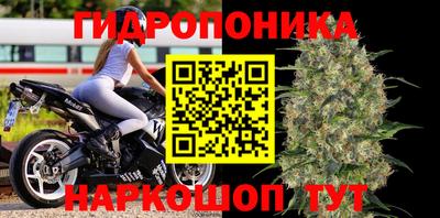 стаф Бузулук