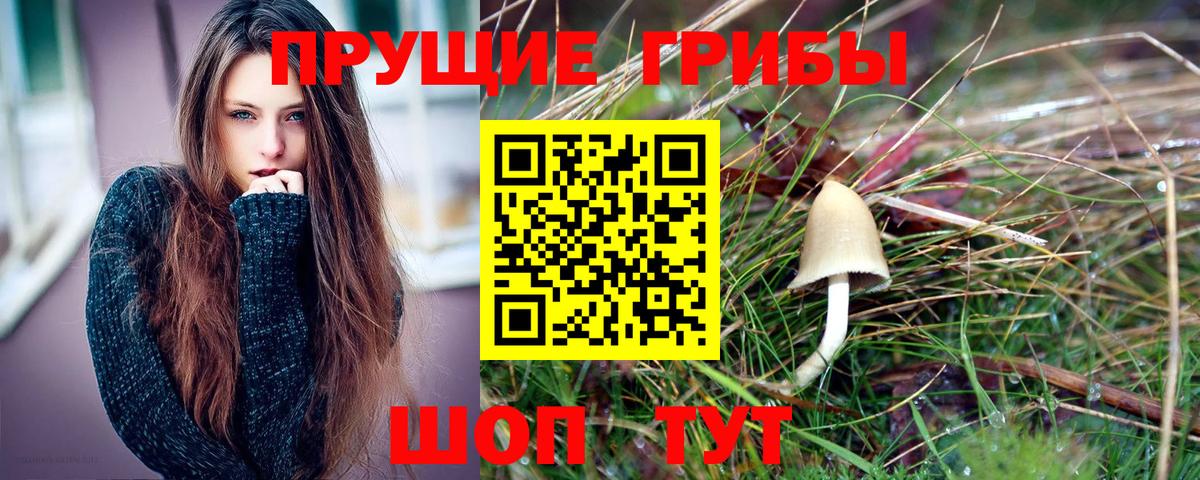 Томск  Галлюциногенные грибы ЛСД  Вход с VPN 